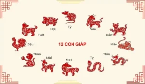 Bộ số lô đề 12 con giáp là gì? Tổng hợp bộ số lô đề theo 12 con giáp mới nhất